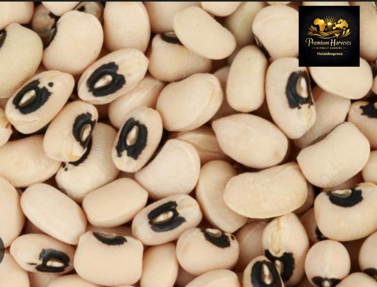 Cowpea Beans